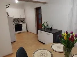 Pakeliui I -On the way I