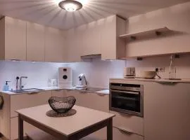 Appartement au pied des pistes