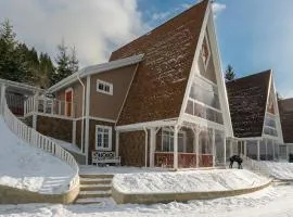 Freeman-1 триповерховий будинок для 12гостей