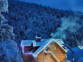 Pensiunea Cabana Viselor ,Apuseni: Vadu Moţilor şehrinde bir otel