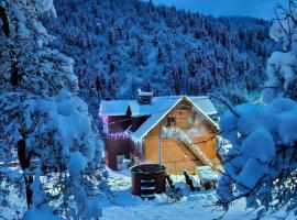 Pensiunea Cabana Viselor ,Apuseni, chal&eacute; alpino em Vadu Moţilor