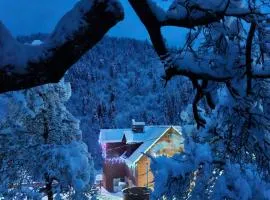 Pensiunea Cabana Viselor ,Apuseni