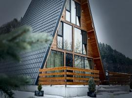 Hidden Cabin, Hotel in Brezoi