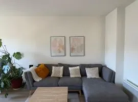 Appt lumineux proche centre