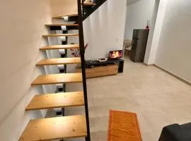 The Luxurious Tiny House