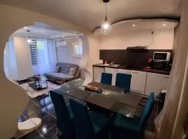 apartement st junien 1