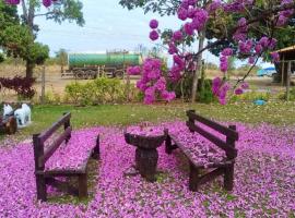 Village Anisia sitio proximo a Sete Lagoas, hotel en Caetanópolis