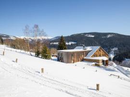 Amenity Hotel & Resort &Scaron;pindlerův Ml&yacute;n