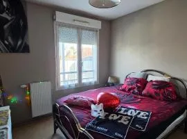 Love Room Sexy centre proche Gare Chambre Privée chez Habitant