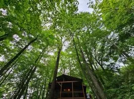 Romantic Summer Couples Escape, Private Hot Tub, EV Station, Fast 600 Mbps WiFi