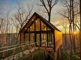 Private Modern Treehouse Retreat in the Forest