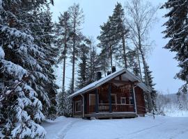 Cottage Petra in Koli, khách sạn ở Kolinkylä