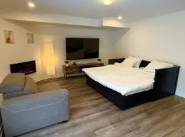 Private separate furnished unit 'entire place', with a full access to a backyard