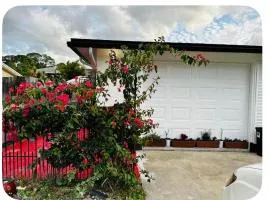 Nice private room with separate entrance