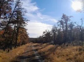 Refugio Del Bosque Cabañas