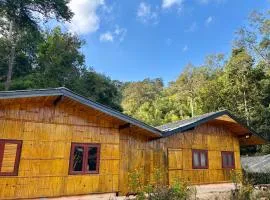 Sunny Jungle Waterfall Retreat