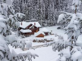 Alpine Chalet - Ski & Lake Belis, hotel i Beliş