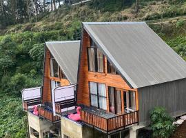Padangsari Cabin House, hotel en Dieng