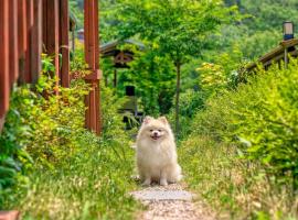 Gapyeong Swimteo Pet Pension, hotel en Gapyeong