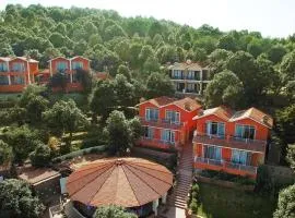 Essence of Nature, Ranikhet