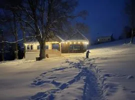 Casa cu copaci Romanian historical farmhouse