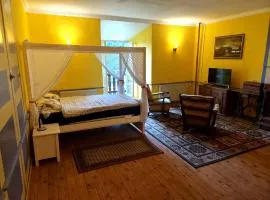 Château de Pyrénées Ruines et Logement