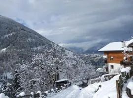 Raffreiderhof Apt Fichte