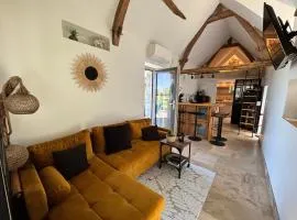 Chambre d'hôte de charme dans maison indépendante, terrasse, proche Saumur