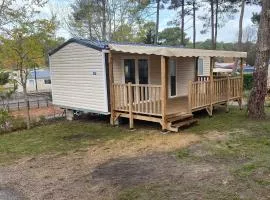 Les lodges des pins 3