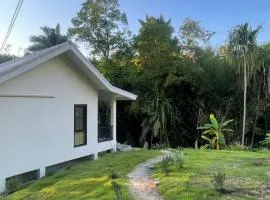 The Whispering Palm Coconut Lane