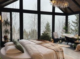 Noma Cabin, hotel em Măguri