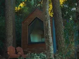 Tiny Clariana by Tiny Away