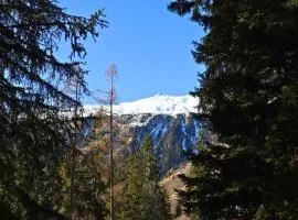 Forest Chalet with Private Bridge & Mountain View
