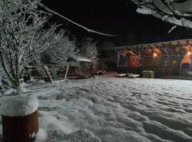 Cabana Ana, hotel in Vadu Moţilor