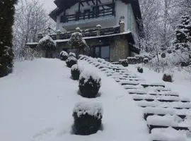 VILA GIGI, ideala pentru relaxare si distractie!