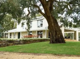 Bloomwood Mt Franklin near Daylesford