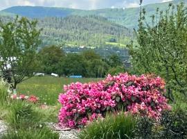 Pokoj U lesa Zaolší, Hotel in Vendryně