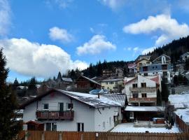 Casa Aramis, hotel in Azuga