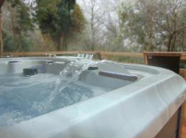 LOU PITCHOUN - Jacuzzi SPA Privé -, hotel i Gaillac