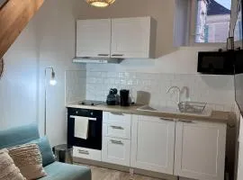 Petit Duplex Cosy centre-ville de Clermont