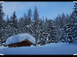 Chalet Adler, hotel in Grächen