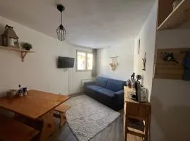 magnifique studio tout confort 24 m2 pied des pistes