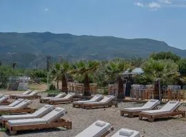 Odyssey Eco Farm Glamping