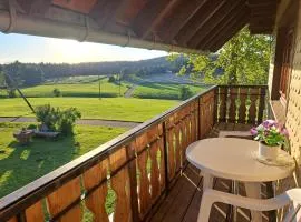 Erlebe Ruhe & Natur - idyllischer Schwarzwaldbauernhof