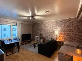 Lappland Kemiapartments CITY IV, near snowcastle, premium studio, FREE private parking