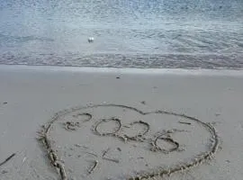 L'Hacienda Piscine chauffée à 28, spa, boulodrome et court de Tennis privés, 2 villas indépendantes