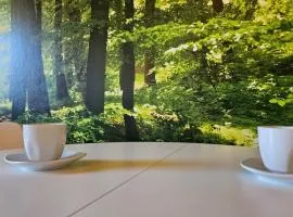 3611 HAUS HABRUCK Top 1 C