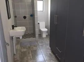 The Good Samaritan 4