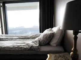 Big Apartment, 4 Bedrooms, Sauna, free parking - EV Charging