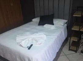 The Good Samaritan 3